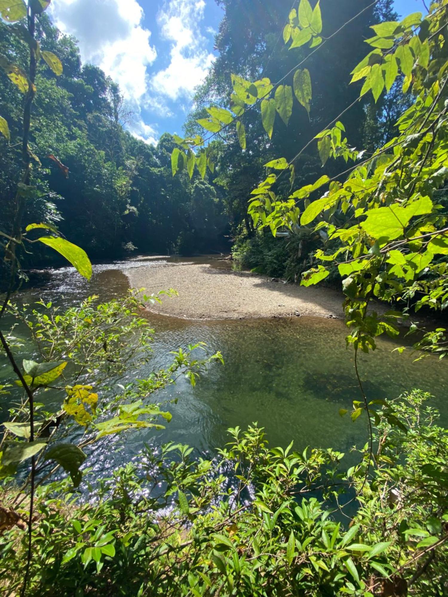 Cabinas Corcovado Green Parrot, Los Planes Drake Drake Bay ภายนอก รูปภาพ