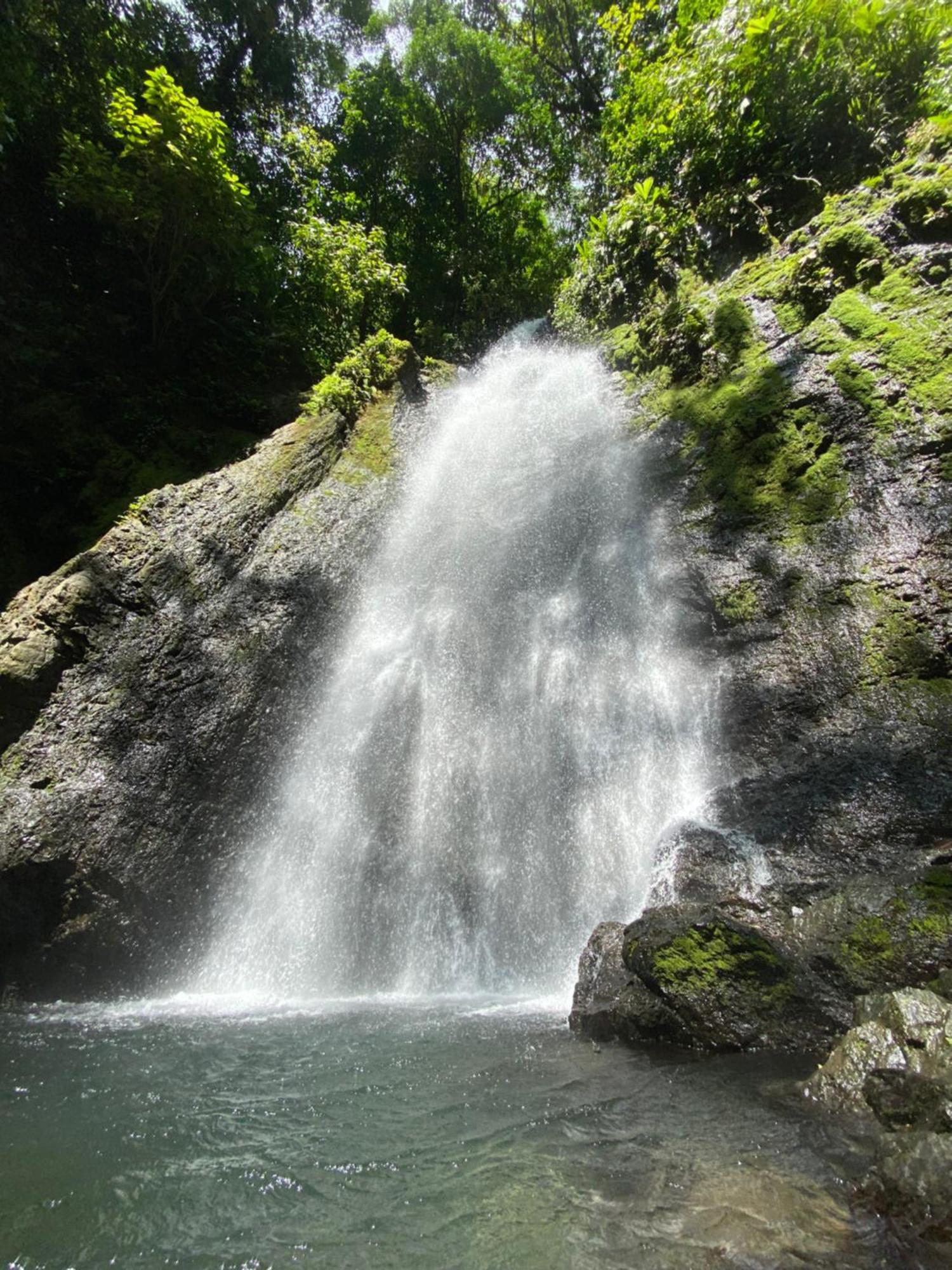 Cabinas Corcovado Green Parrot, Los Planes Drake Drake Bay ภายนอก รูปภาพ