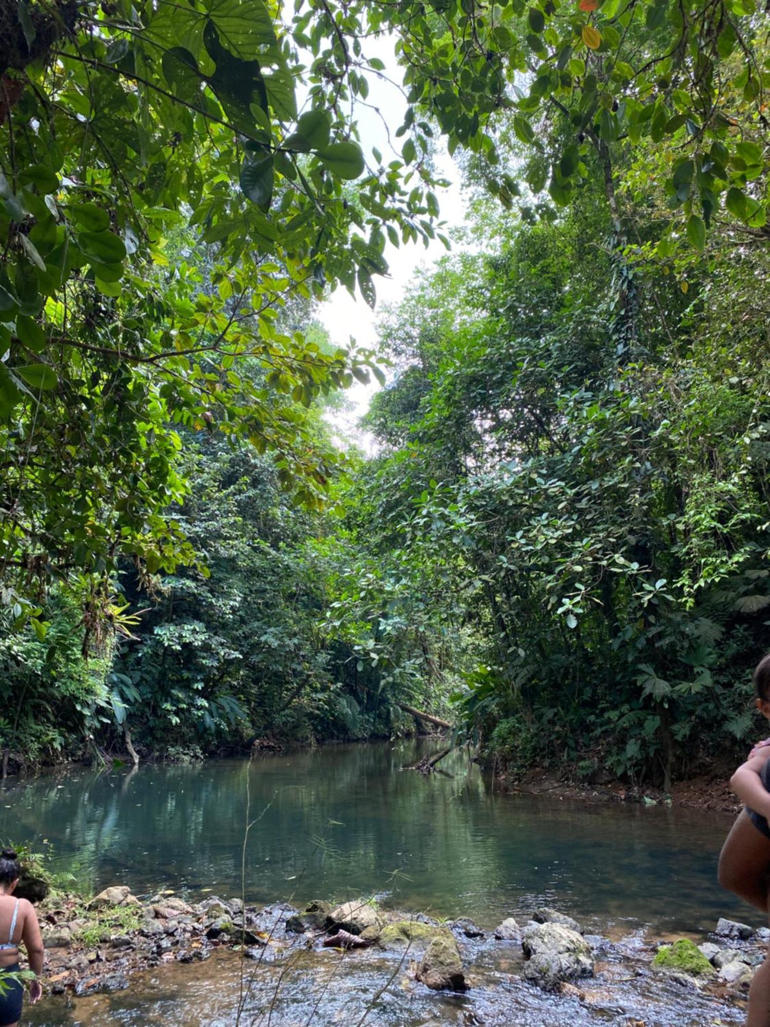 Cabinas Corcovado Green Parrot, Los Planes Drake Drake Bay ภายนอก รูปภาพ