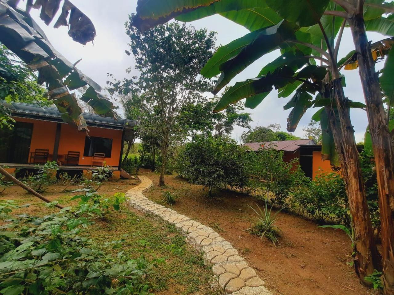 Cabinas Corcovado Green Parrot, Los Planes Drake Drake Bay ภายนอก รูปภาพ
