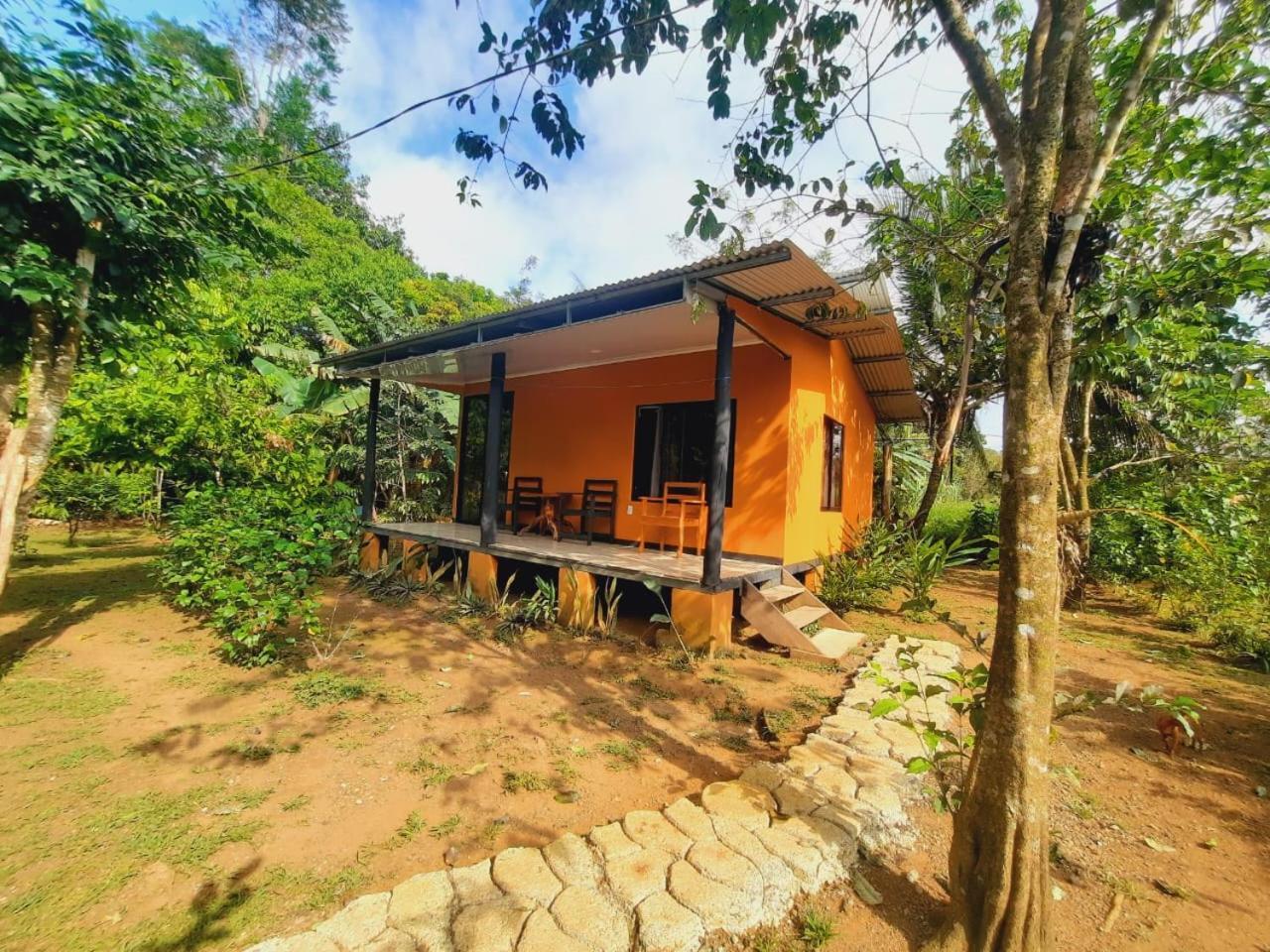 Cabinas Corcovado Green Parrot, Los Planes Drake Drake Bay ภายนอก รูปภาพ